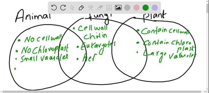 Venn diagram animals and plants