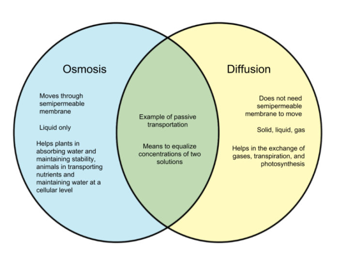 Quiz on osmosis and diffusion