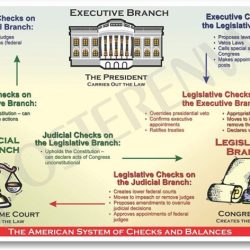 Checks balances powers separation branch judicial legislative local editor letter