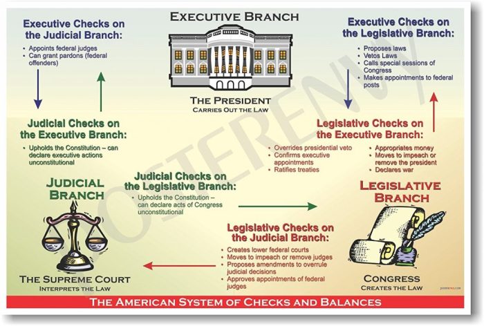 Checks balances powers separation branch judicial legislative local editor letter