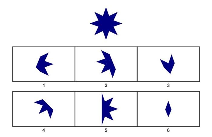 What does visual puzzles measure on the wisc-v