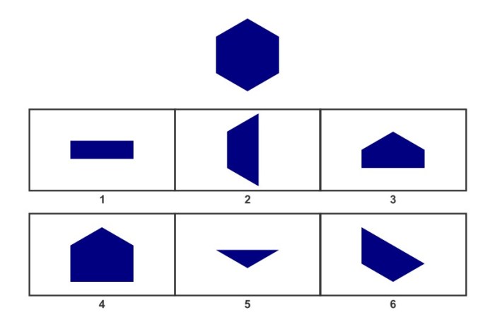 What does visual puzzles measure on the wisc-v