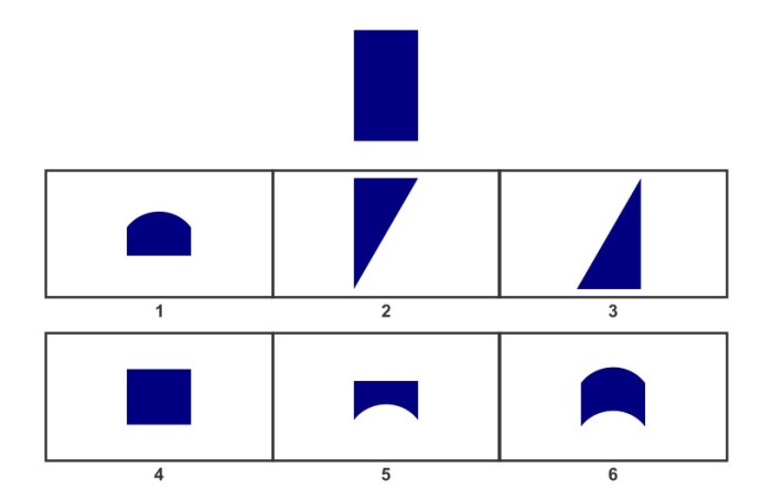 Test wisc tutor puzzles questions practice