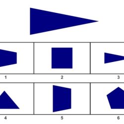 Wisc test figure weights practice iv subtests subtest workbook puzzles visual children reasoning span tutor choose board ebook testing problems