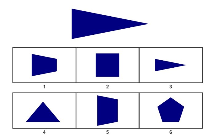 Wisc test figure weights practice iv subtests subtest workbook puzzles visual children reasoning span tutor choose board ebook testing problems